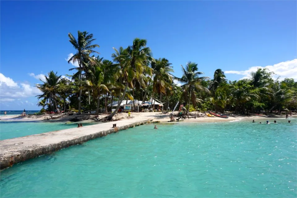 Ambiance tropicale